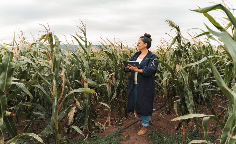 Chile rural avanza en conectividad digital 