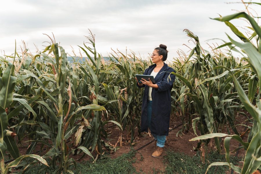Chile rural avanza en conectividad digital 