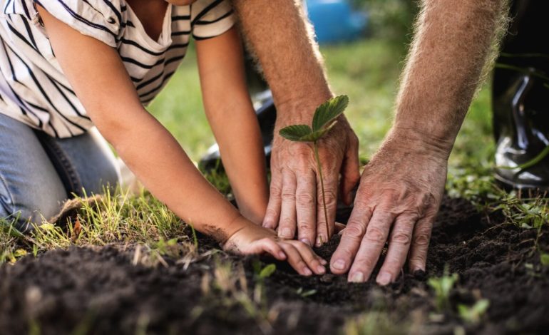 Organizaciones ambientales llaman a las candidaturas a comprometerse con el medioambiente: “sin retrocesos y con transparencia”
