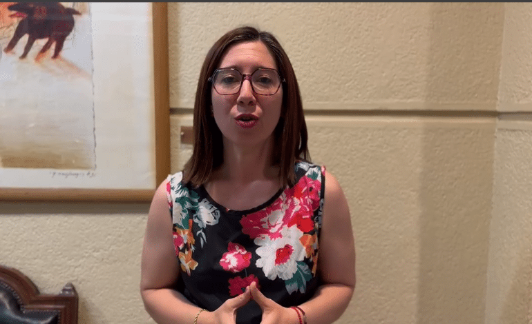 Diputada Carolina Tello solicita adelantar plan de prevención de incendios forestales en Coquimbo