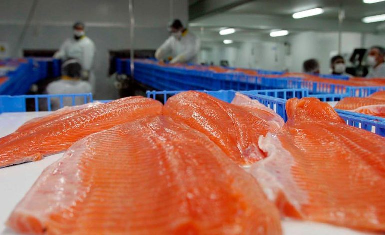 Chile y Japón avanzan en bioproductos marinos para una industria pesquera más sostenible