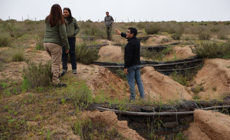 CONAF apoya sectores rurales de la comuna de Canela con  Obras de Conservación de Agua y Suelo
