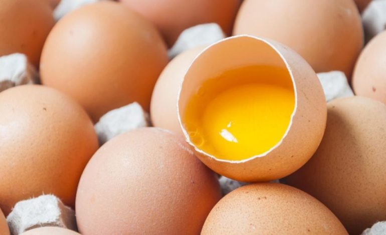 Alerta por riesgo de Salmonella en huevos sin control sanitario importados y sin trazabilidad