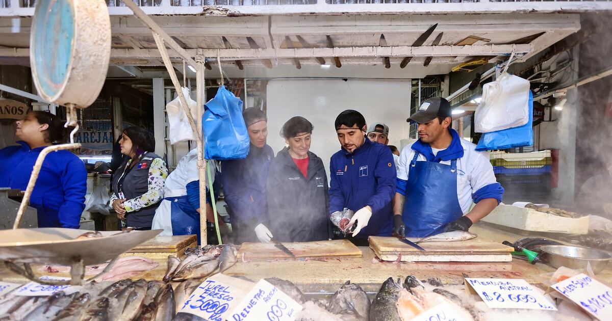 Seremi de Salud RM decomisa más de 6,5 toneladas de productos del mar en mal estado en el Terminal Pesquero Metropolitano