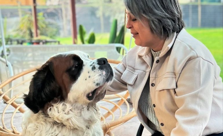 Seguro veterinario y red nacional de clínicas para mascotas, entre las medidas de Jeannette Jara para el cuidado animal
