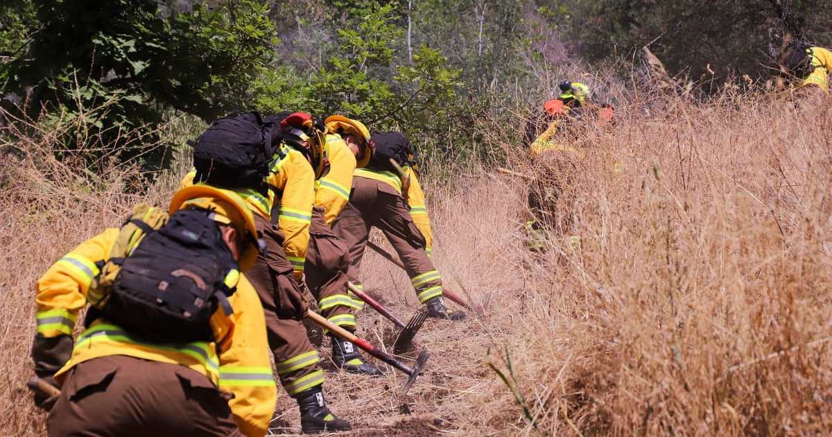 Plan Nacional de Cortafuegos tendrá la mayor operación preventiva de los últimos años