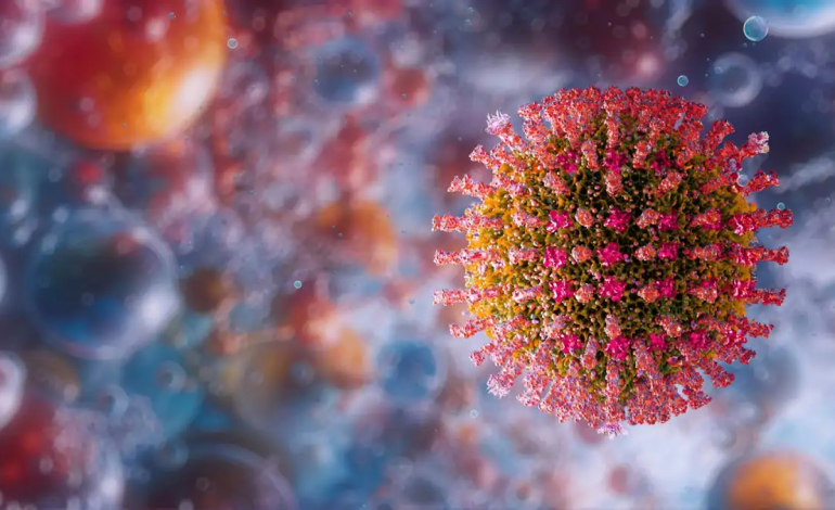 El Virus Silencioso: Sarampión Vuelve a Tocar la Puerta de Chile y Activa Alerta Sanitaria Urgente