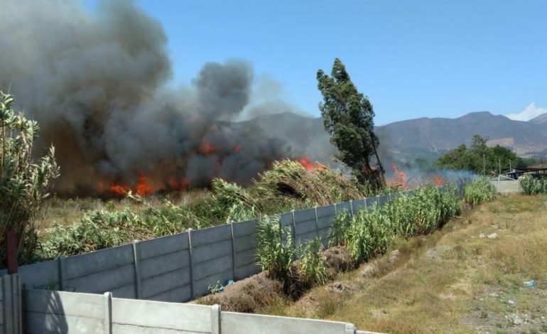 Bomberos confirma que incendio en Pocochay fue provocado por un voluntario de la institución