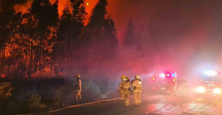 CONAF eleva a más de 5 000 hectáreas consumidas por incendio forestal en Concepción