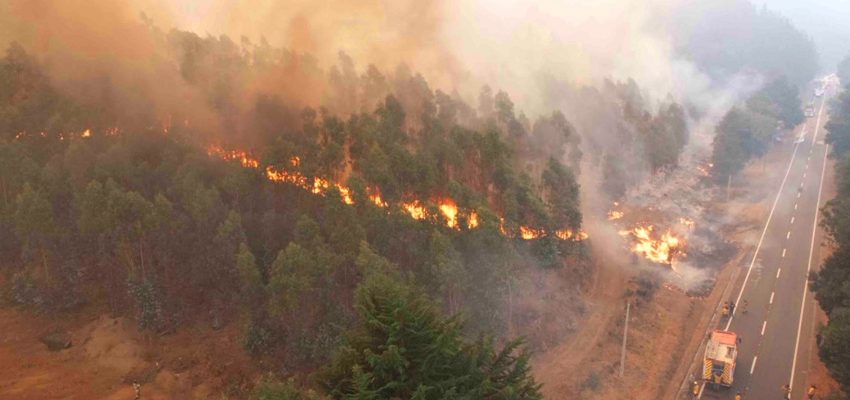 Alerta roja por incendio forestal de gran magnitud en Concepción