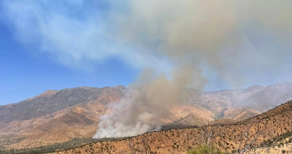 Gigantesco incendio forestal consume más de 839 hectáreas en Tiltil y moviliza operativo de emergencia