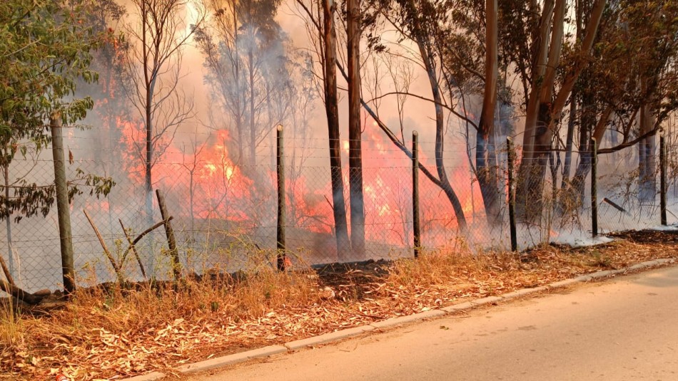 Decretan alerta roja en Laja por incendio forestal que amenaza sectores poblados