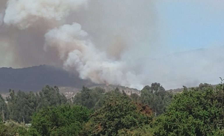 Senapred declara Alerta Roja en Puchuncaví por incendio forestal “La Estancilla”