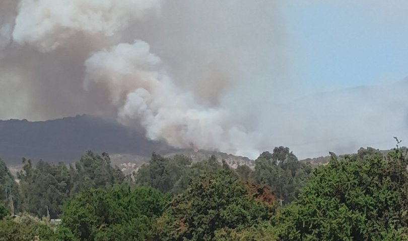 Senapred declara Alerta Roja en Puchuncaví por incendio forestal “La Estancilla”