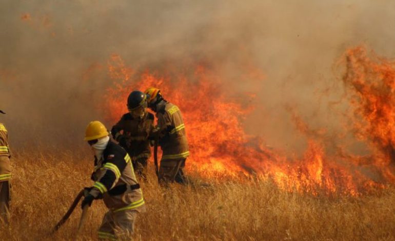 Conaf alerta riesgo de incendios forestales en seis regiones de Chile por altas temperaturas
