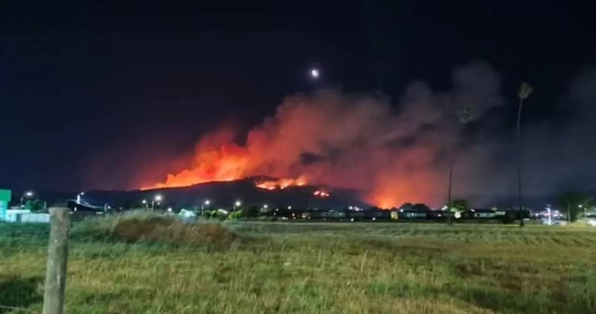 Incendio forestal en Vichuquén afecta al menos a 200 hectáreas