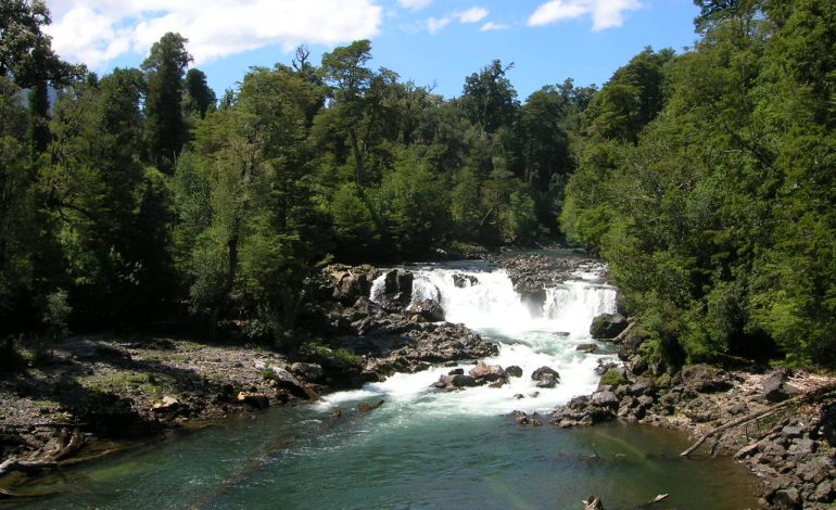 Dan luz verde a construcción de tres edificios en el Parque Nacional Puyehue