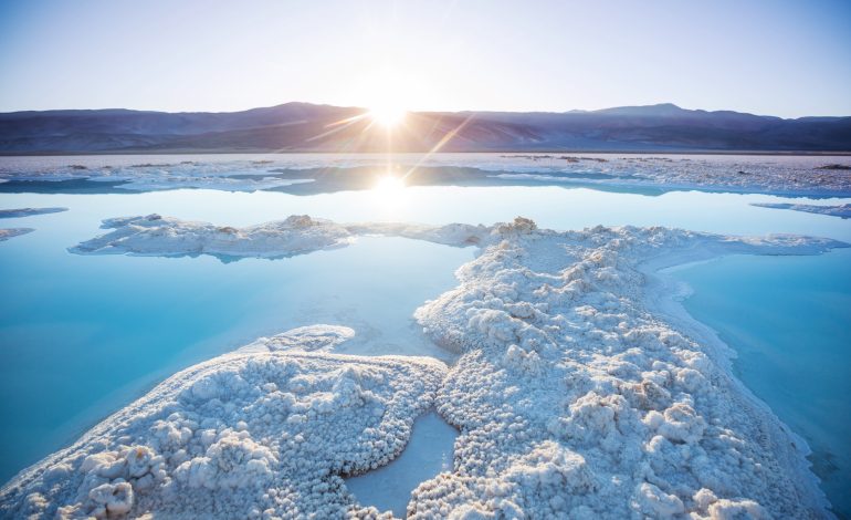 Extracción Directa de Litio en Chile: Albemarle impulsa proyecto clave en el Salar de Atacama