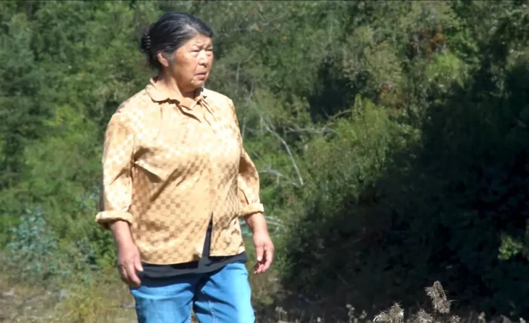 Fiscalía confirma hallazgo de osamenta humana en terreno donde vivía Julia Chuñil