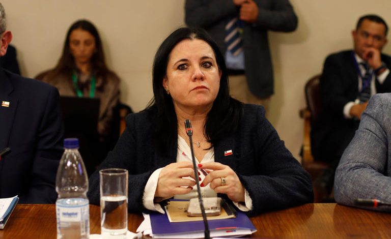 “Impresentable”: fracasa sesión clave en el Senado por ausencia de ministra Steinert