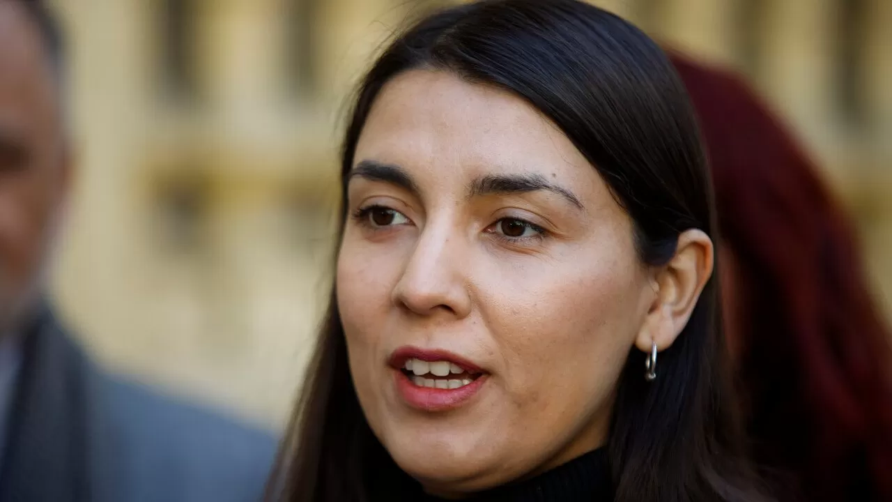 Senado aprueba proyecto que prohíbe pensión de sobrevivencia a condenados por VIF