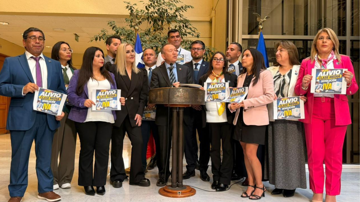 Devolución del IVA en medicamentos y pañales: en qué consiste el acuerdo entre Gobierno y PDG