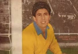 Fallece Adán Godoy, histórico arquero de la Roja y mundialista de 1962