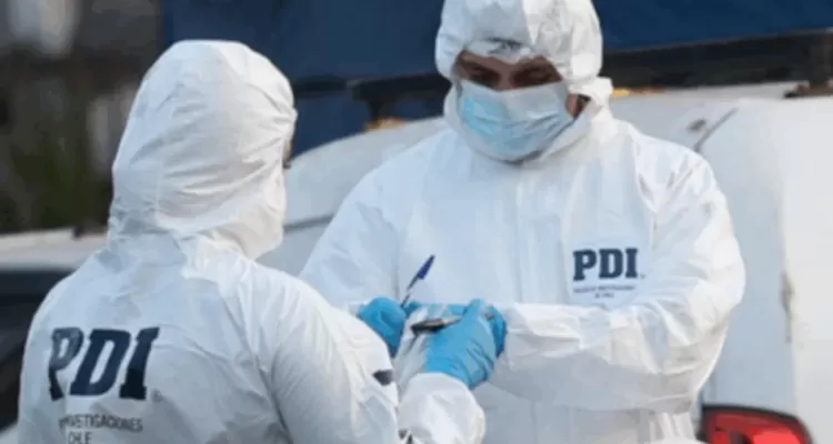 Niña de 3 años muere tras ataque de perros en Chillán