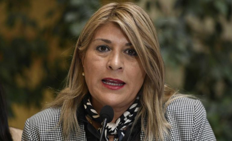 Zandra Parisi anuncia quiebre entre el PDG y el Gobierno previo a votación de la megareforma