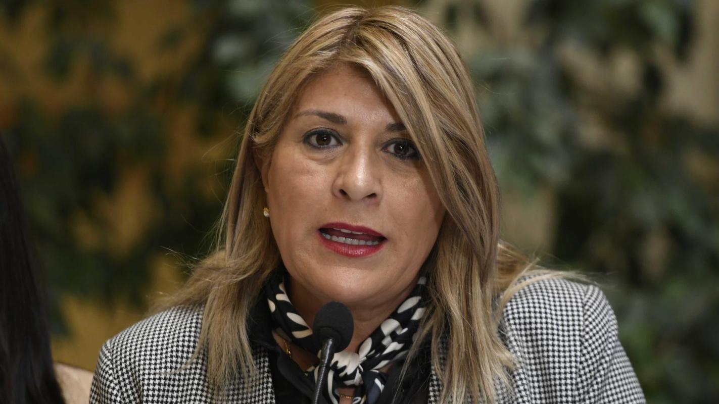 Zandra Parisi anuncia quiebre entre el PDG y el Gobierno previo a votación de la megareforma