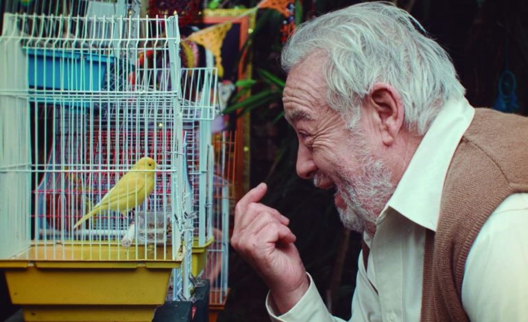 “Hoy las mejores películas no se muestran”: Silvio Caiozzi compite en CINELEBU con crítico cortometraje sobre la vejez