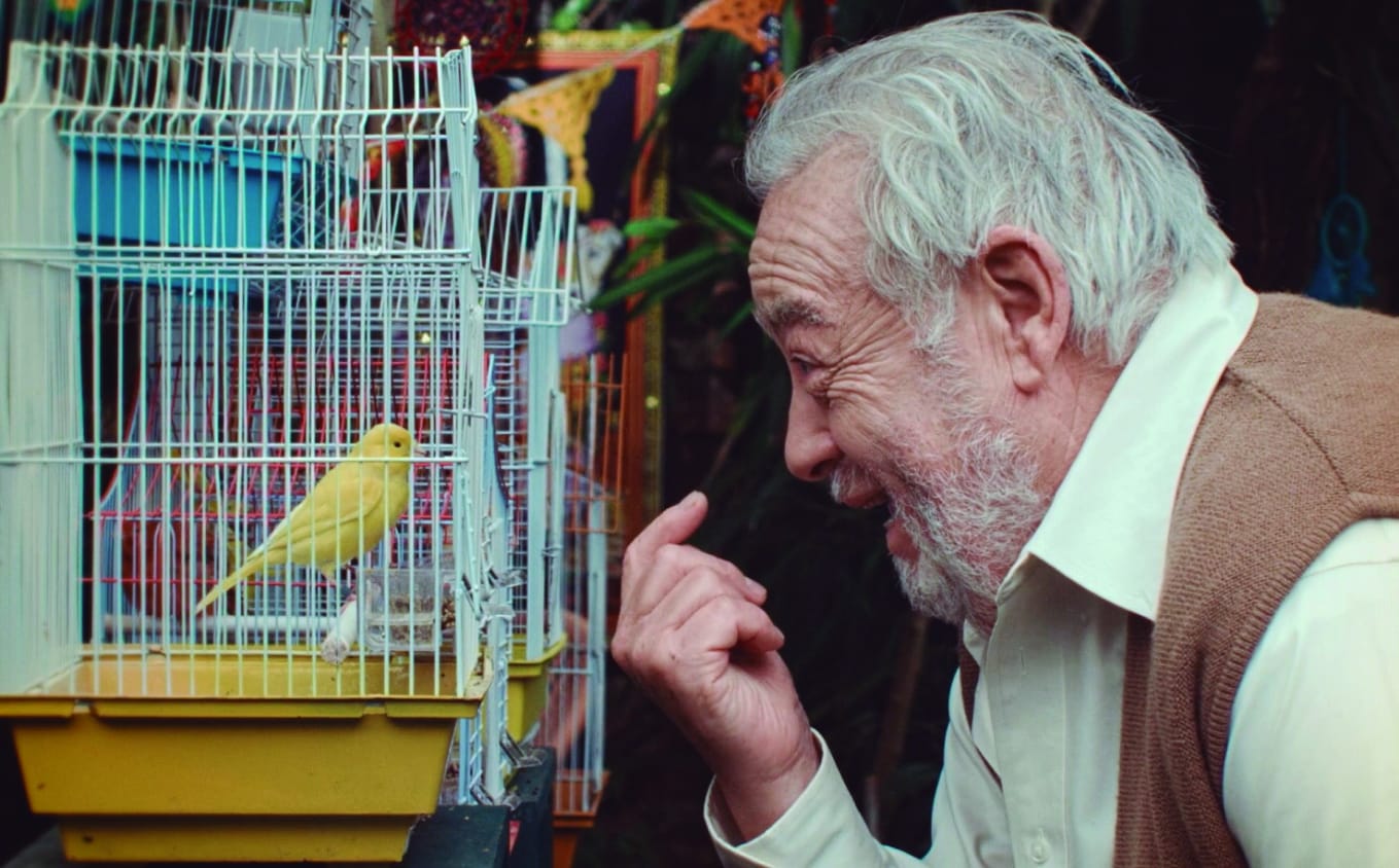 “Hoy las mejores películas no se muestran”: Silvio Caiozzi compite en CINELEBU con crítico cortometraje sobre la vejez