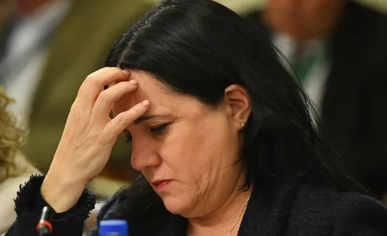 Oposición y PDG anuncian interpelación contra ministra Steinert por plan de seguridad