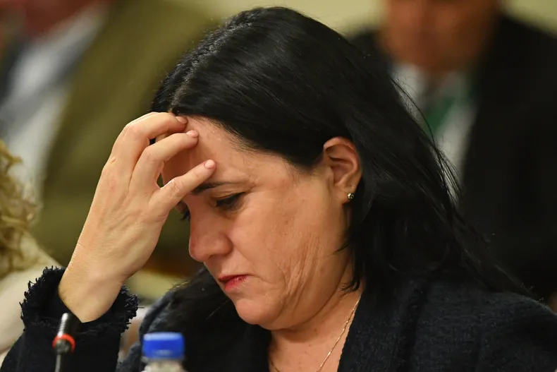 Oposición y PDG anuncian interpelación contra ministra Steinert por plan de seguridad